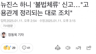 뉴진스 하니 불법체류 신고 고용관계 정리되는 대로 조치