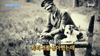 개산책하는 멧돼지 발견