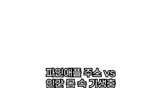 파인애플 즙 vs 기생충