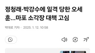 정청래·박강수에 일격 당한 오세훈…마포 소각장 대책 고심