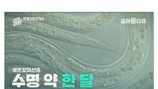 수명을 1.5배 늘리는 방법