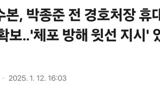 경호처장이 구속이 안된 이유