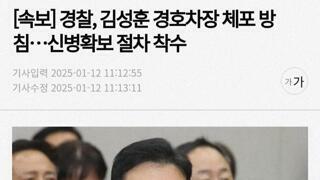 [속보] 경찰, 김성훈 경호차장 체포 방침…신병확보 절차 착수