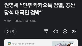 권영세 “민주 카카오톡 검열, 공산당식 대국민 겁박”