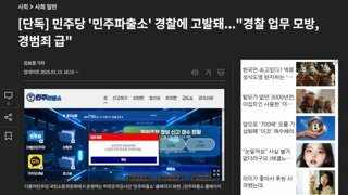 민주파출소 경찰에 고발, 경찰업무모방, 경범죄 급