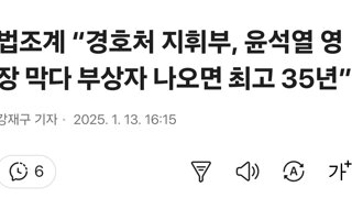 법조계 “경호처 지휘부, 윤석열 영장 막다 부상자 나오면 최고 35년”