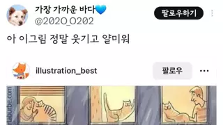 댕댕이 집사 염장 지르는 짤