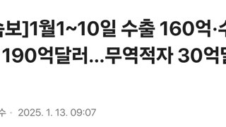 [속보]1월1~10일 수출 160억·수입 190억달러…무역적자 30억달러