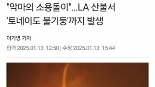 LA 산불 토네이도 불기둥