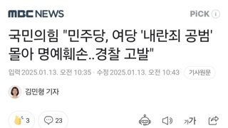 국민의힘 