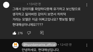 현대해상 유튜브 근황