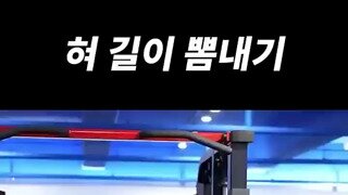 혀 길이 뽐내는 눈나