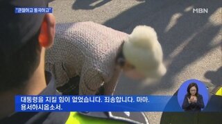 과거의 사례로보는 앞으로 볼 풍경