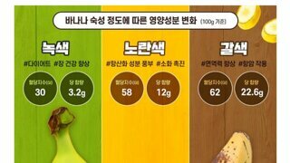 은근히 갈린다는 빠나나 취향