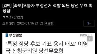 실시간 미정갤 국힘의원 부정선거 당선무효형 반응