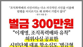 가짜뉴스 짜집기로 이재명 비판한 국민의힘 책임당원 벌금 500만원