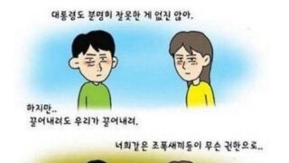 尹옹호론자에게 퍼지고 있다는 '탄핵반대 웹툰'