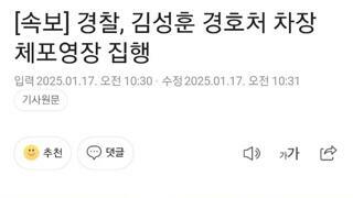 풍선차장 김성훈 체포