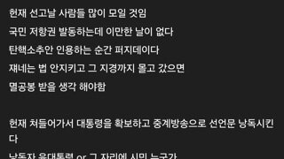 흔한 국민의힘 갤러리의 내란 모의(자칭 소설)