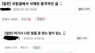 국힘갤에서 삭제된 글