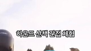 개빠르네