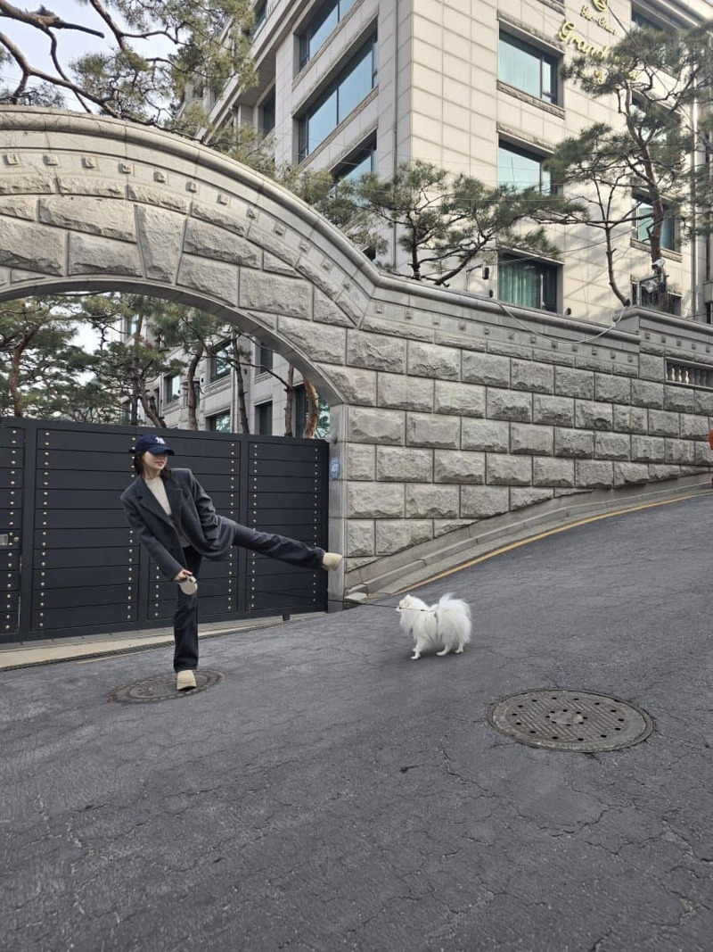 르세라핌 김채원 위버스