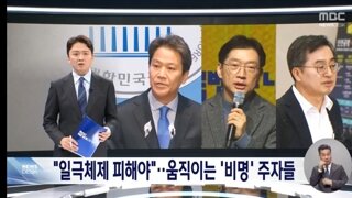 민주당 비명계 