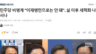 이재명만으로 안된다는 분들 여러분이 이재명 대표 좀 도와주세요