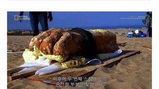 최근 사막에서 새롭게 발굴된 스핑크스