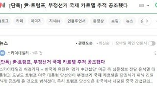 [윤 트럼프 부정선거 국제 카르텔] 관련 기사의 허구성에 관해서