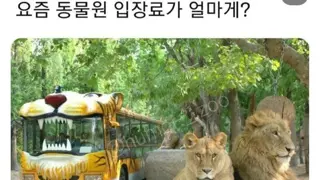 요즘 동물원 입장료 수준...;;