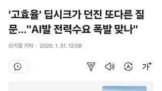 '고효율' 딥시크가 던진 또다른 질문…