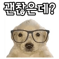 디바인 이미지
