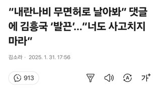 “내란나비 무면허로 날아봐” 댓글에 김흥국 ‘발끈’…“너도 사고치지 마라”