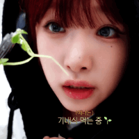 스티커 이미지