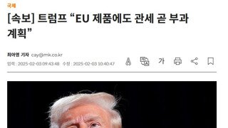 트럼프 “EU 제품에도 관세 곧 부과 계획”