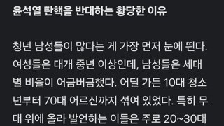 탄핵반대 집회에서 나온 탄핵반대 이유