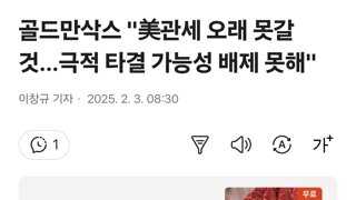 골드만삭스 '美관세 오래 못갈 것…극적 타결 가능성 배제 못해'