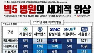 국내 빅5 병원 세계적 위상