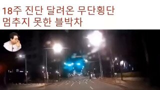 18주 진단 무단횡단