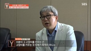 고양이를 사랑한(?) 그녀