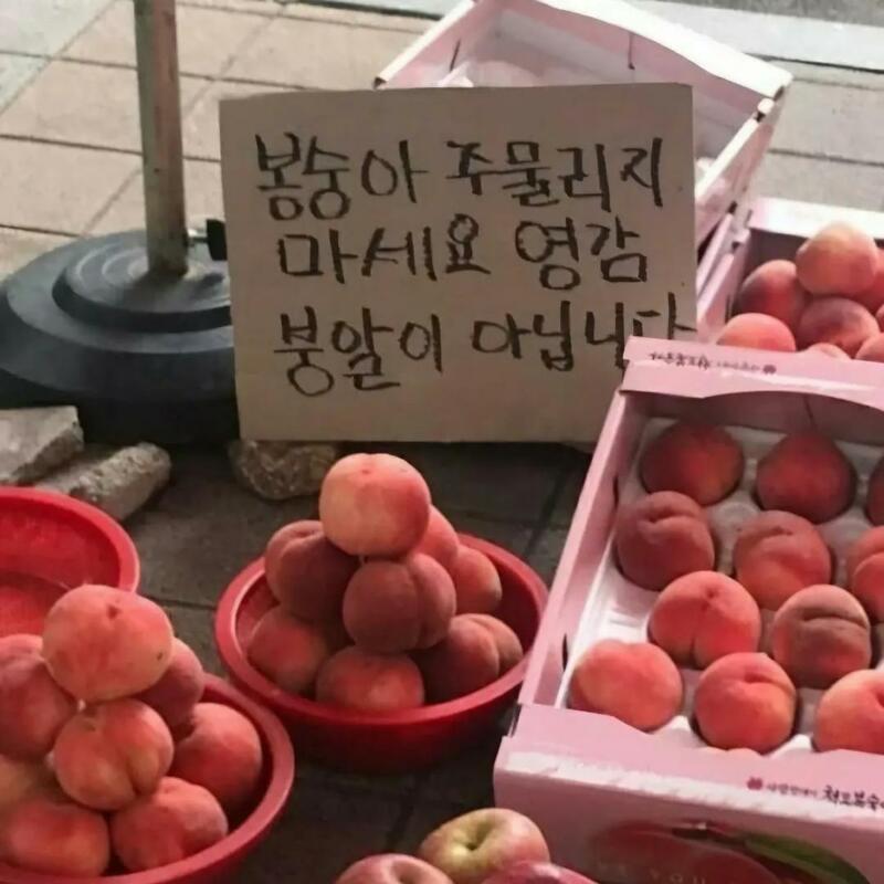 잠홍 이미지