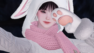 Pink Bunny