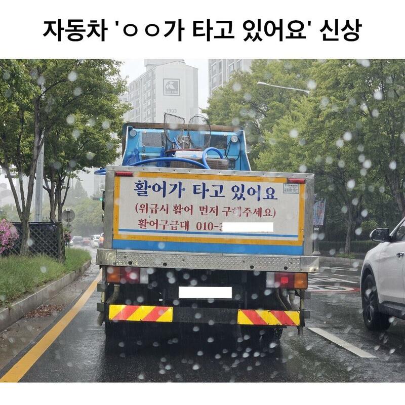 활어가 이미지