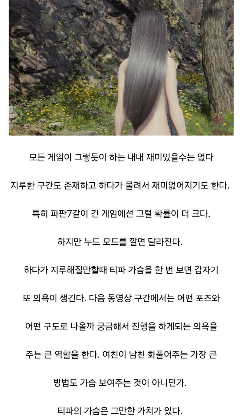 웹진 인벤 : 누드모드를 깔고 게임하는 이유 - 오픈이슈갤러리