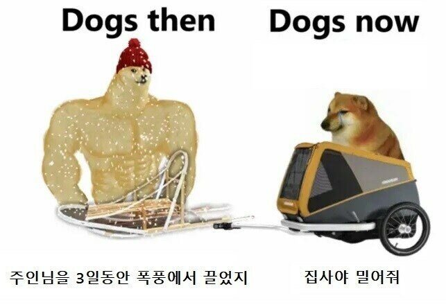 옛날 이미지