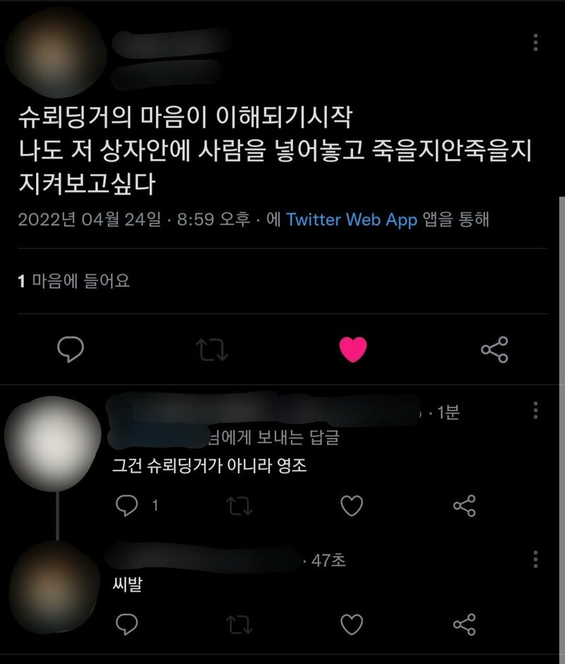 슈뢰딩거 이미지