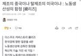 썸네일 이미지