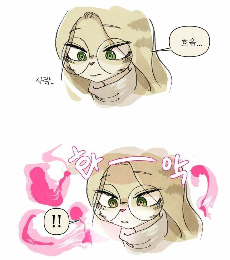 태양금 이미지