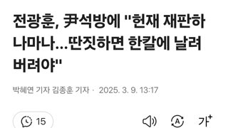 전광훈, 尹석방에 '헌재 재판하나마나…딴짓하면 한칼에 날려버려야'